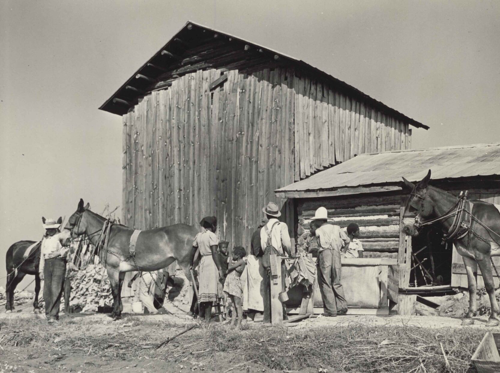Tobacco barn